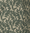 Cream/Sage