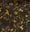 Ochre